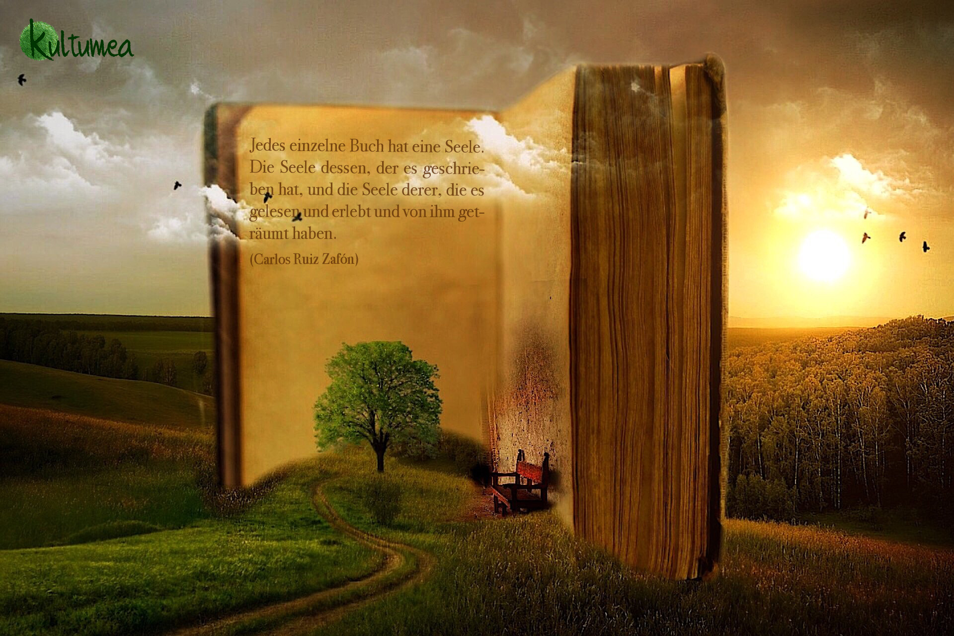 Jedes einzelne Buch hat eine Seele. Die Seele dessen, der es geschrieben hat, und die Seele derer, die es gelesen und erlebt und von ihm geträumt haben. (Carlos Ruiz Zafón)